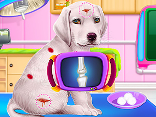 http://localhost/game/game/labrador-puppy-daycare-salon